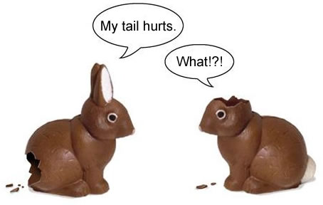 chocolate easter bunny pics. Hope the Easter Bunny hopped